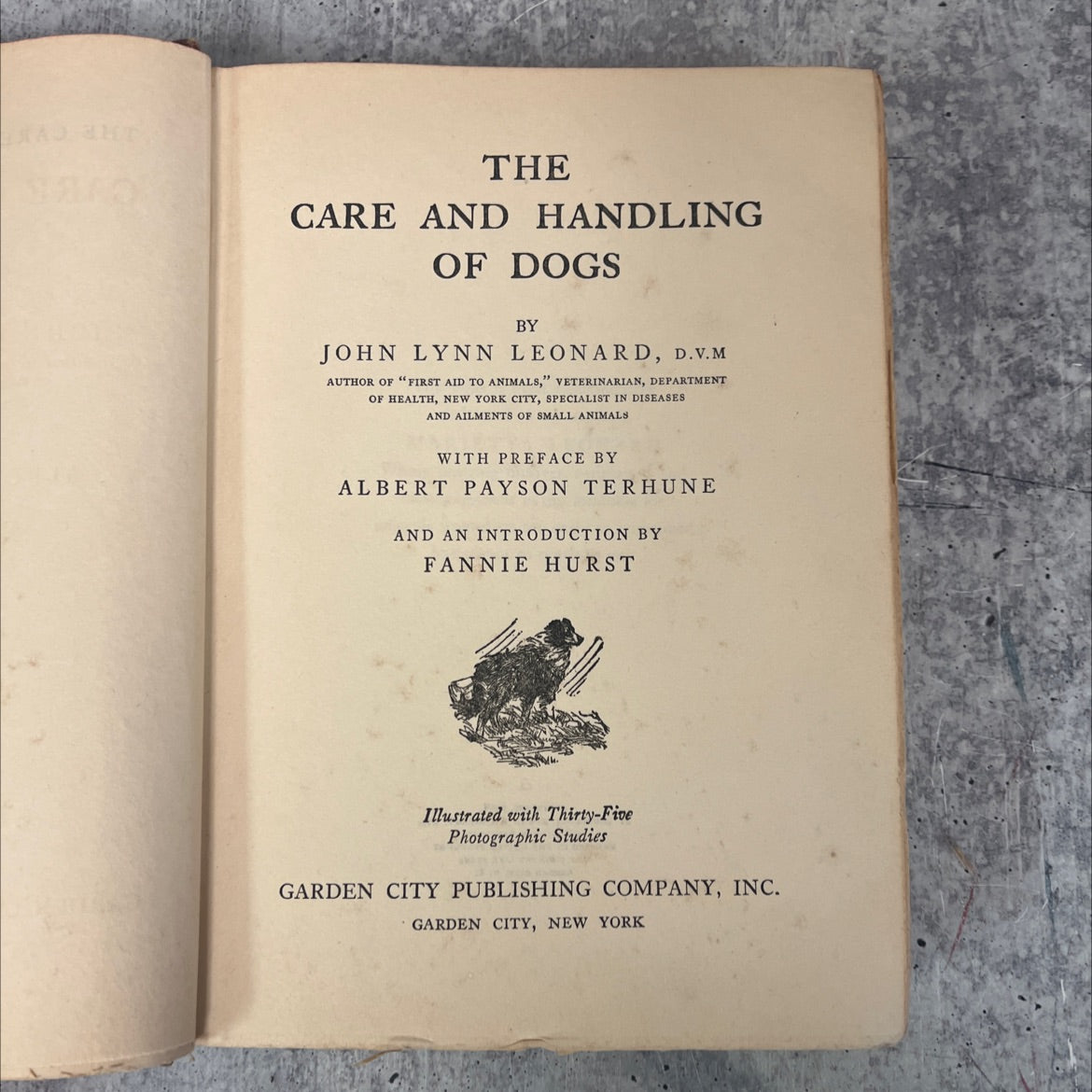 the care and handling of dogs book, by john lynn leonard, d.v.m, 1928 Hardcover, Vintage image 2