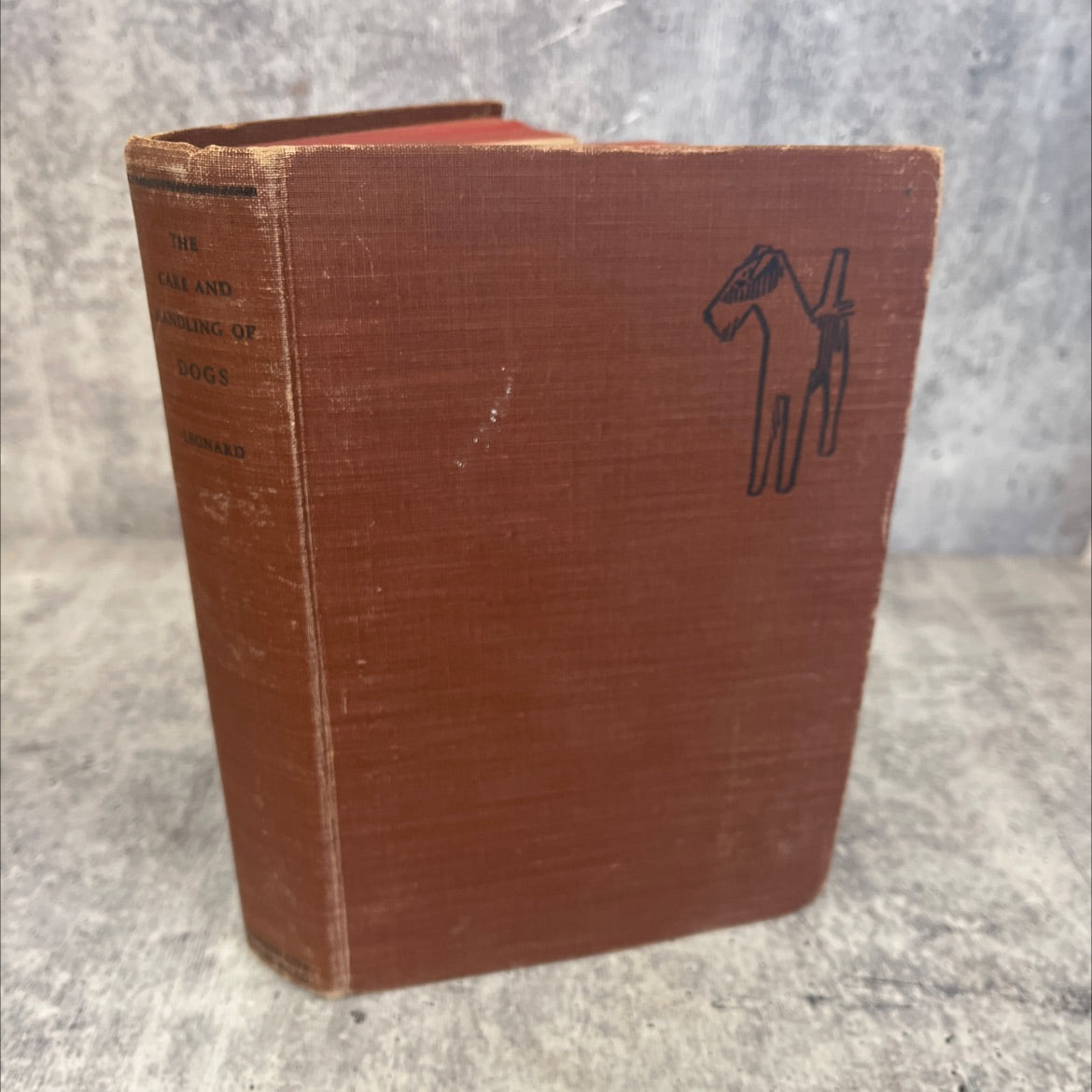 the care and handling of dogs book, by john lynn leonard, d.v.m, 1928 Hardcover, Vintage image 1