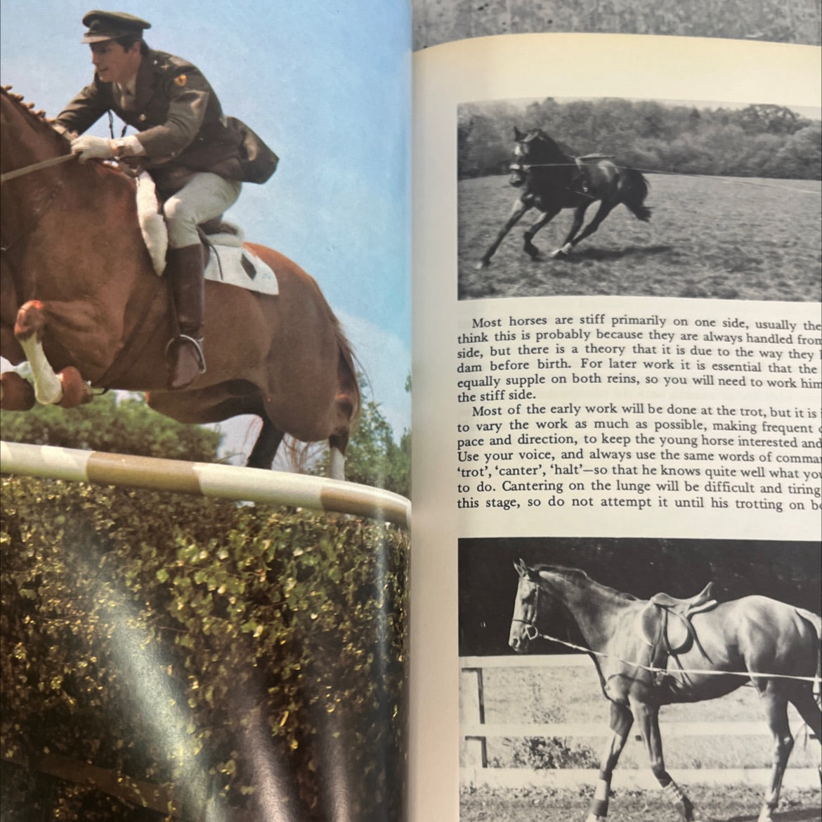 the complete book of show jumping book, by Michael Clayton, William Steinkraus, 1975 Hardcover, Vintage image 4