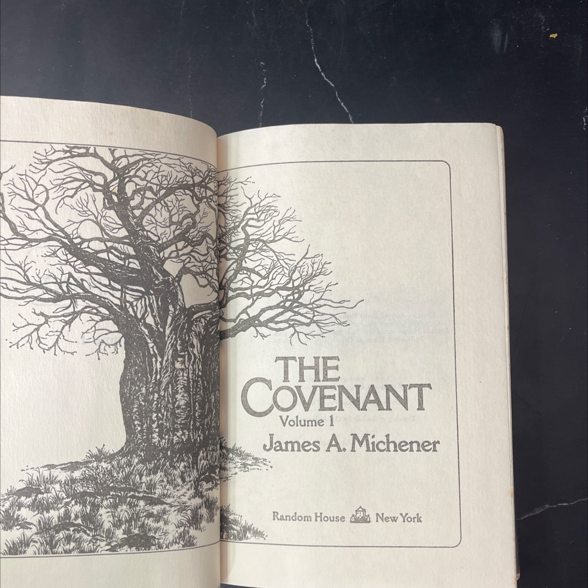 the covenant volume 1 book, by james a. michener, 1980 Hardcover, Vintage image 2