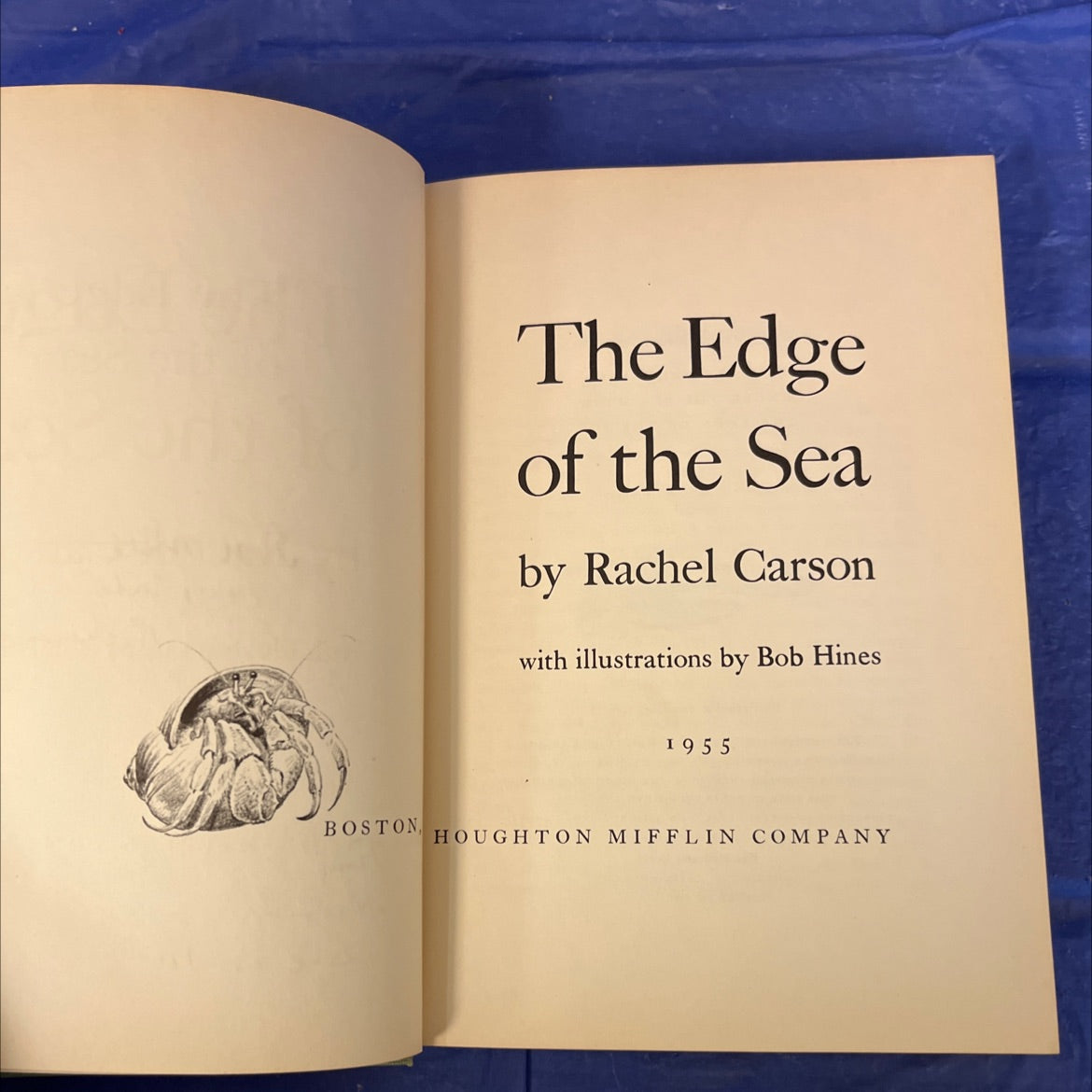 the edge of the sea book, by rachel carson, 1955 Hardcover image 2