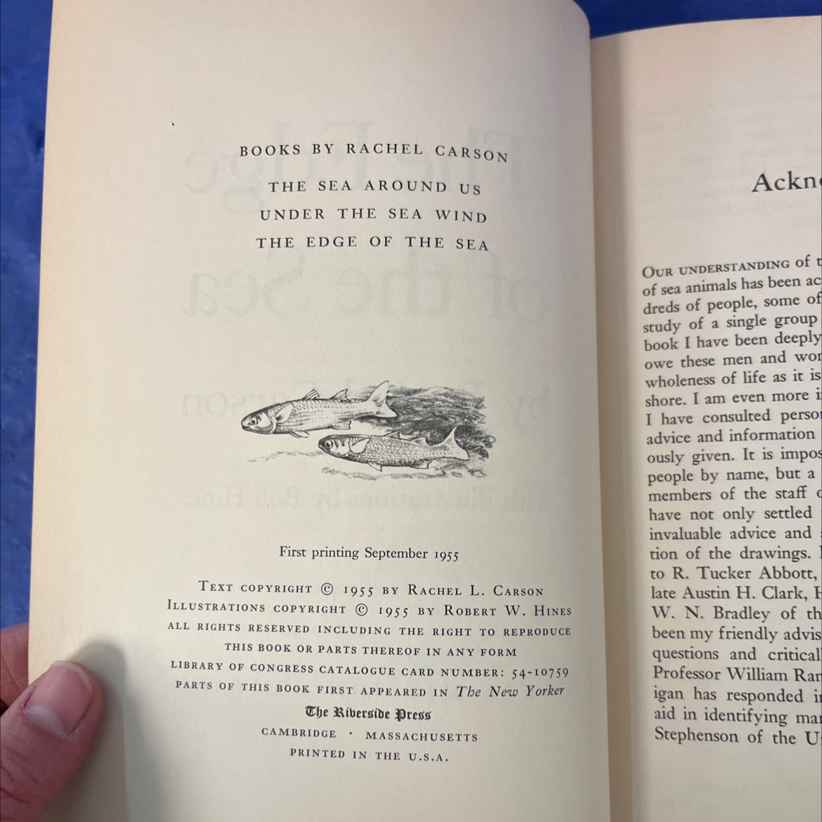 the edge of the sea book, by rachel carson, 1955 Hardcover image 3