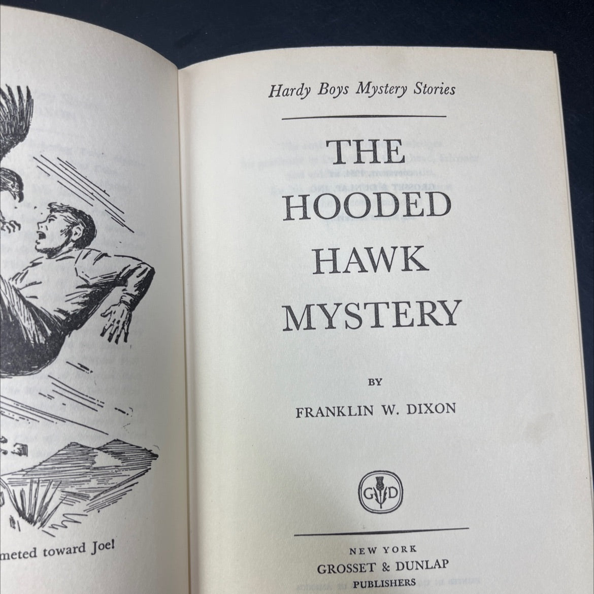 the hooded hawk mystery book, by franklin w. dixon, 1954 Hardcover image 2