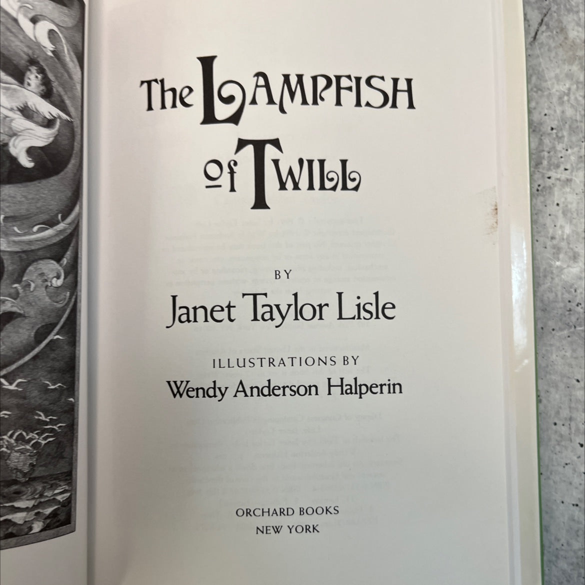 the lampfish of twill book, by Janet Taylor Lisle, 1991 Hardcover image 2