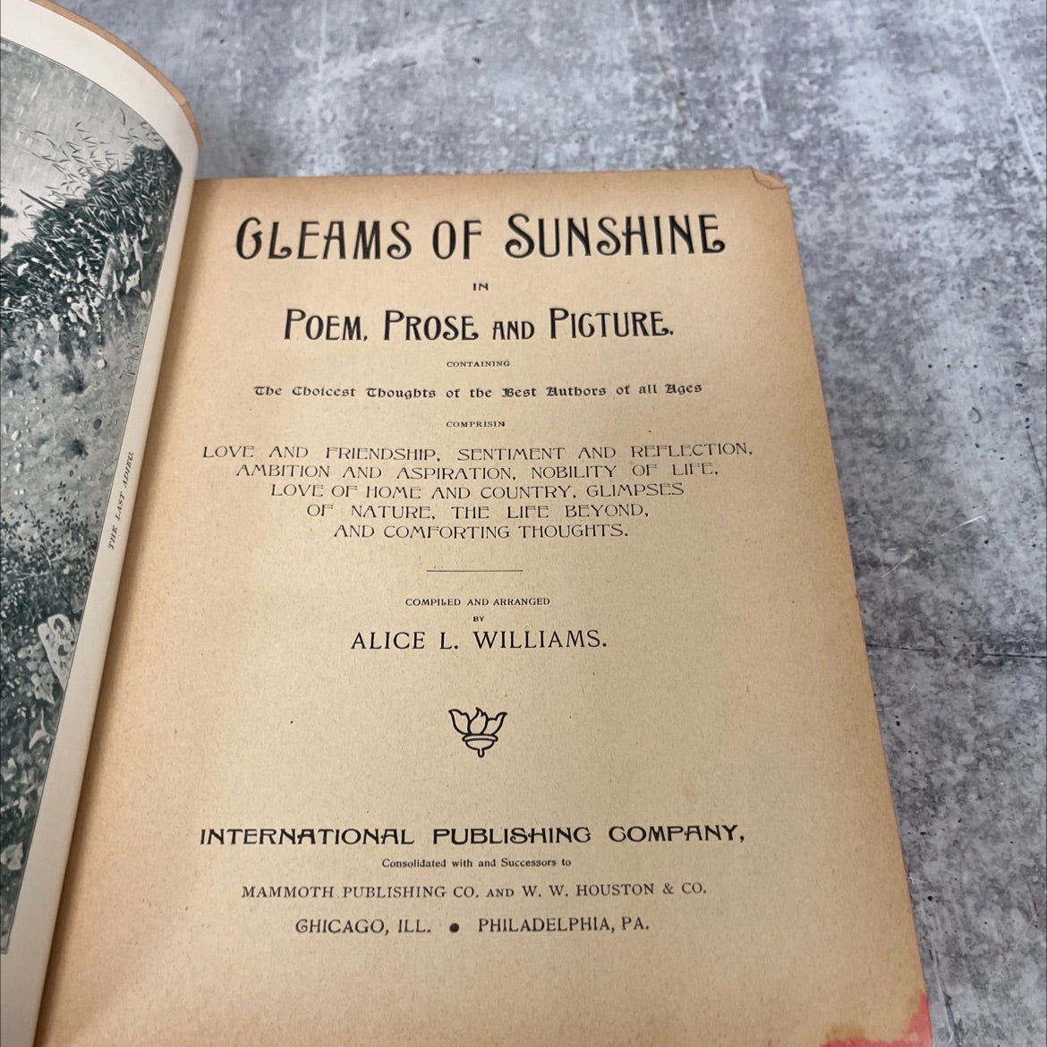 the last adieu gleams of sunshine in poem prose and picture book, by alice l. williams, 1895 Hardcover image 2