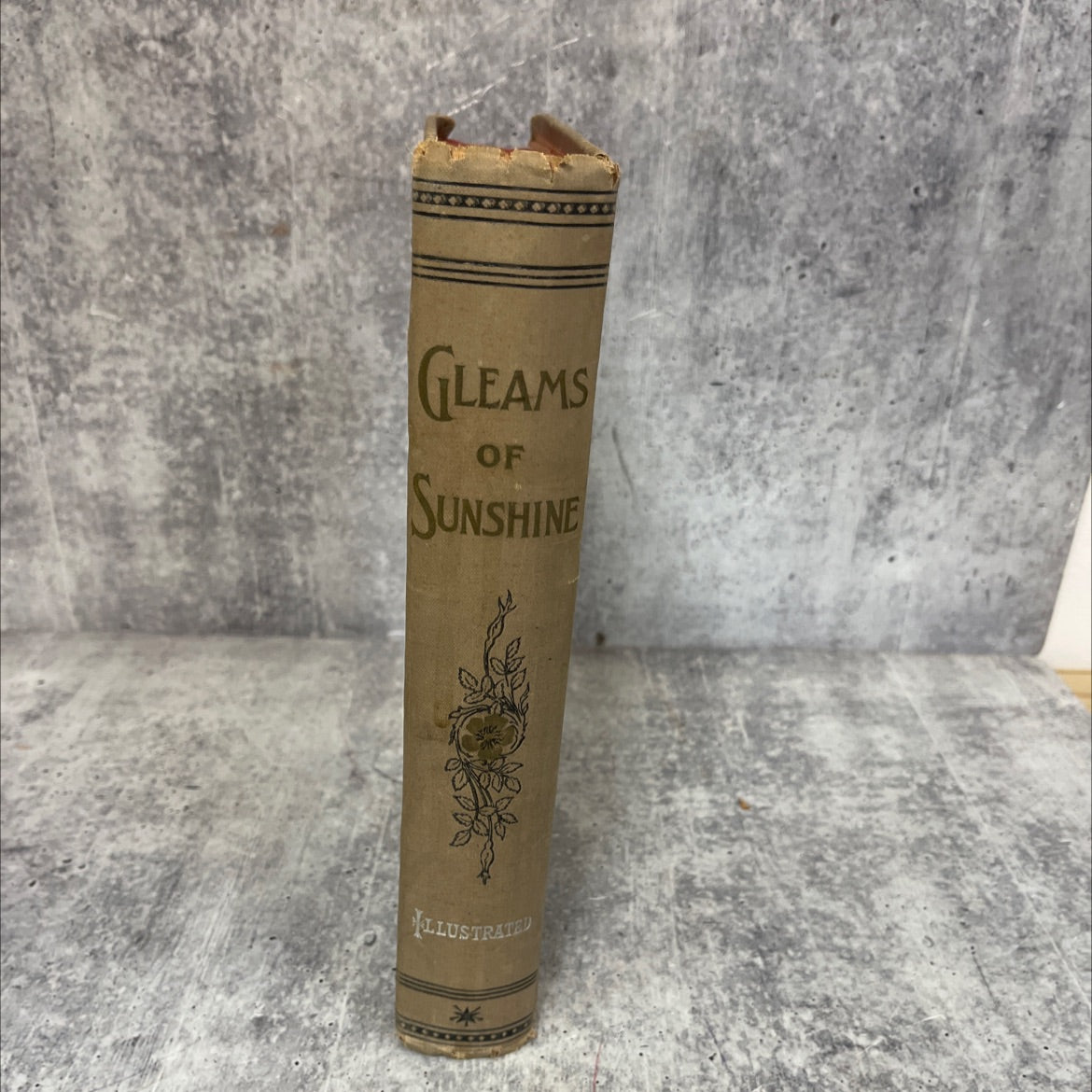 the last adieu gleams of sunshine in poem prose and picture book, by alice l. williams, 1895 Hardcover image 4