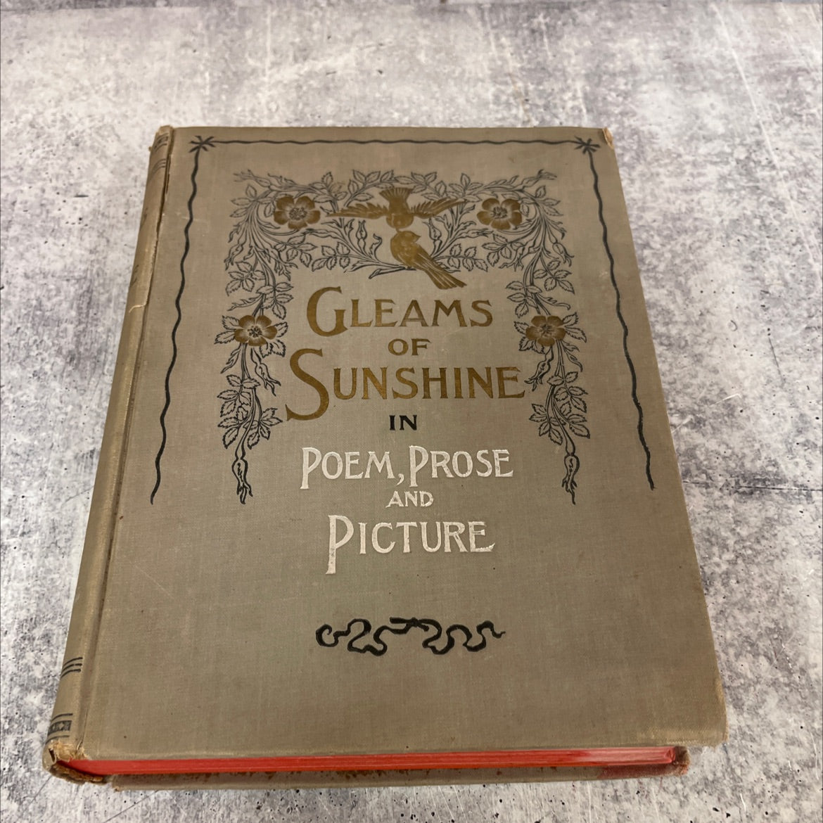 the last adieu gleams of sunshine in poem prose and picture book, by alice l. williams, 1895 Hardcover image 1