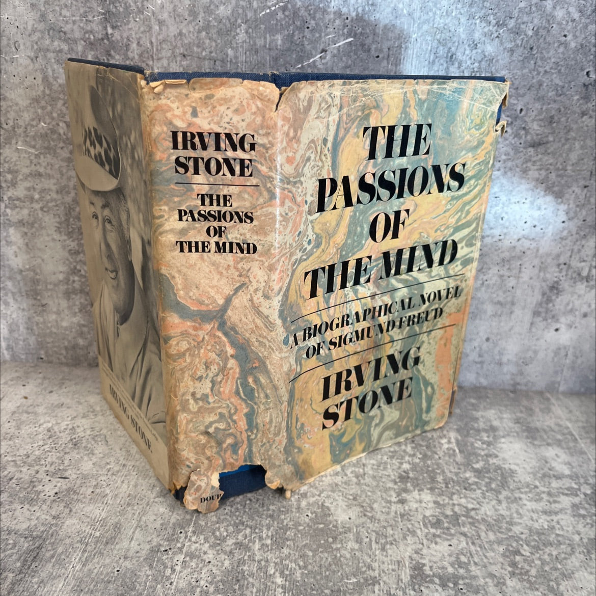 the passions of the mind book, by irving stone, 1971 Hardcover, Vintage image 1