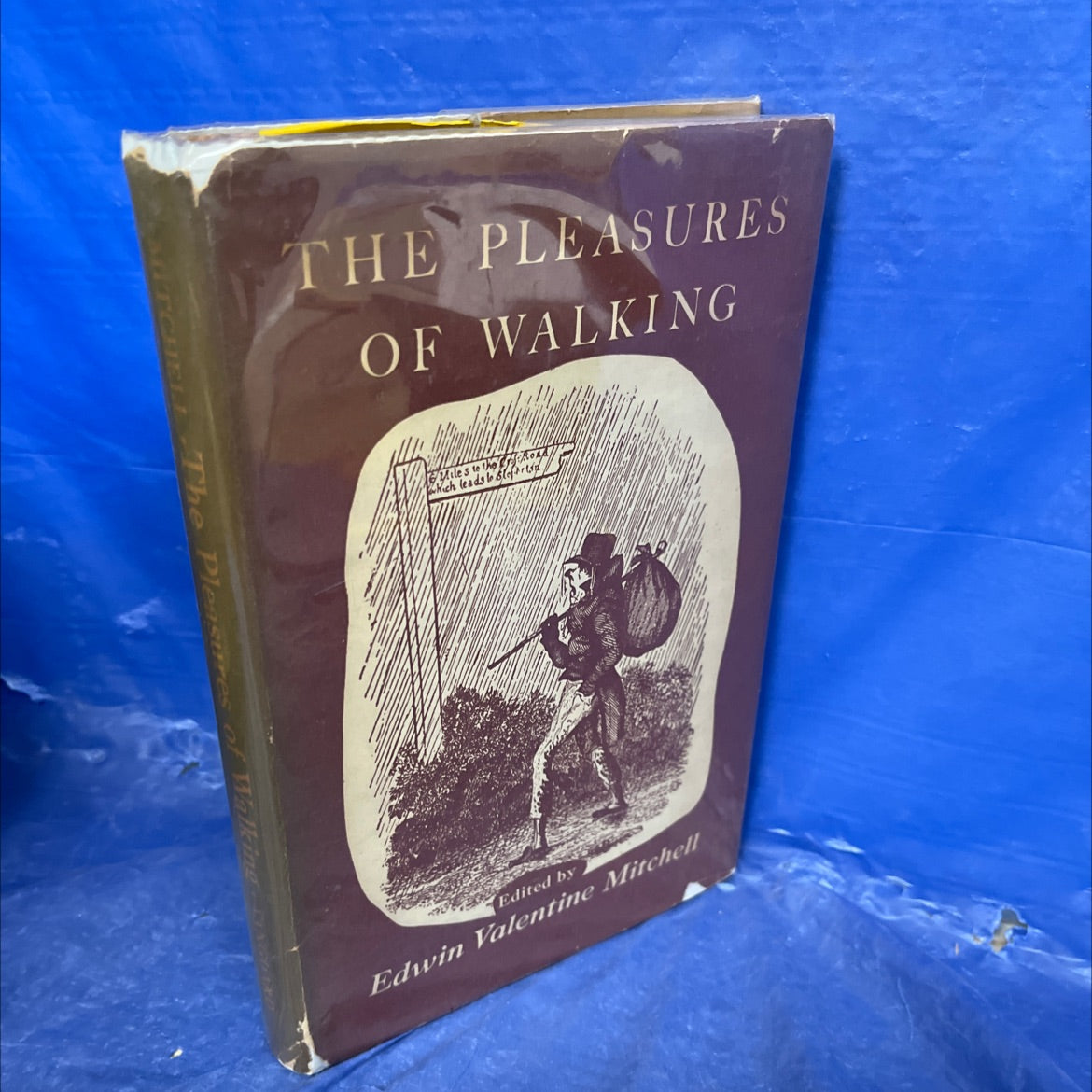 the pleasures of walking book, by edwin valentine mitchell, 2018 Hardcover image 1