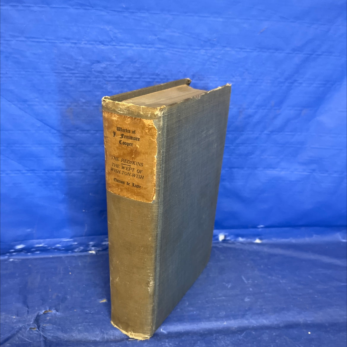 the redskins, the wept of wish-ton-wish book, by j. fenimore cooper, Unknown Hardcover image 1