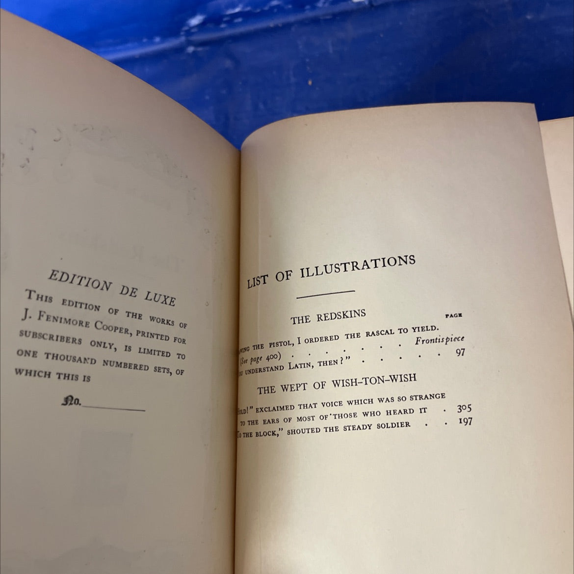 the redskins, the wept of wish-ton-wish book, by j. fenimore cooper, Unknown Hardcover image 3