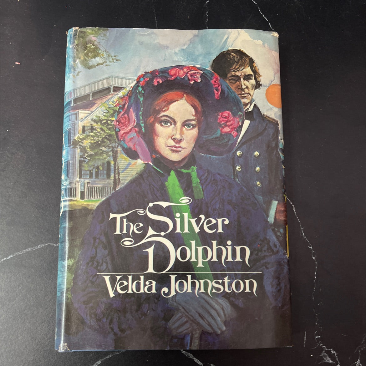 the silver dolphin book, by Velda Johnston, 1979 Hardcover, Vintage image 1