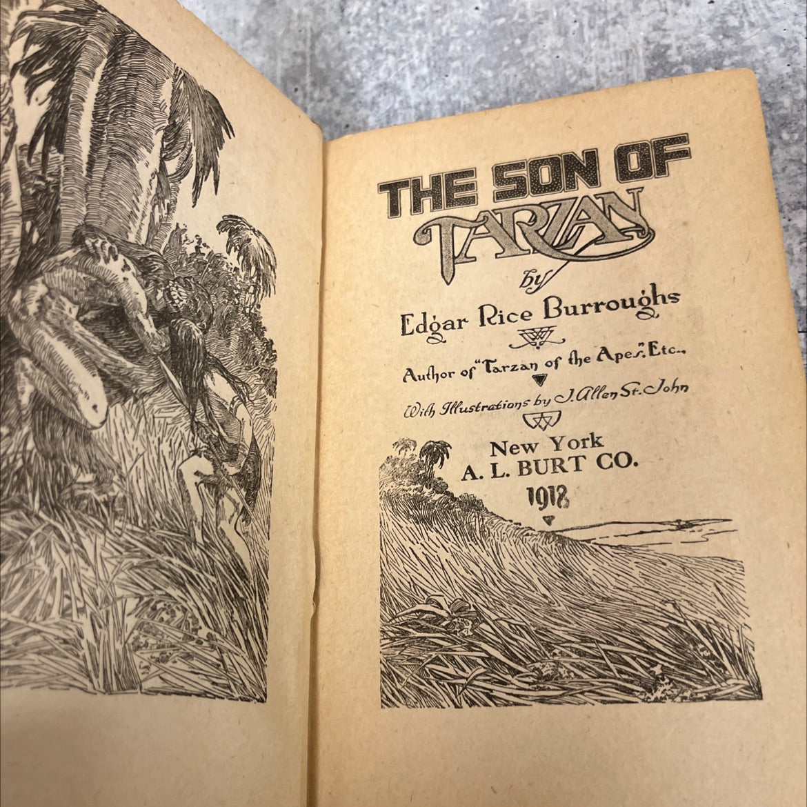 the son of taran book, by edgar rice burroughs, 1918 Hardcover image 2