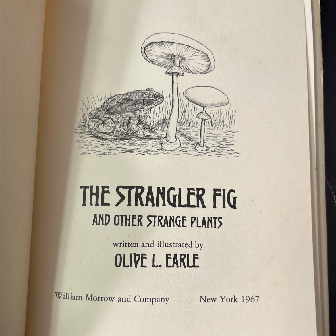 the strangler fig and other strange plants book, by olive l. earle, 1967 Hardcover, First Edition, Vintage image 2