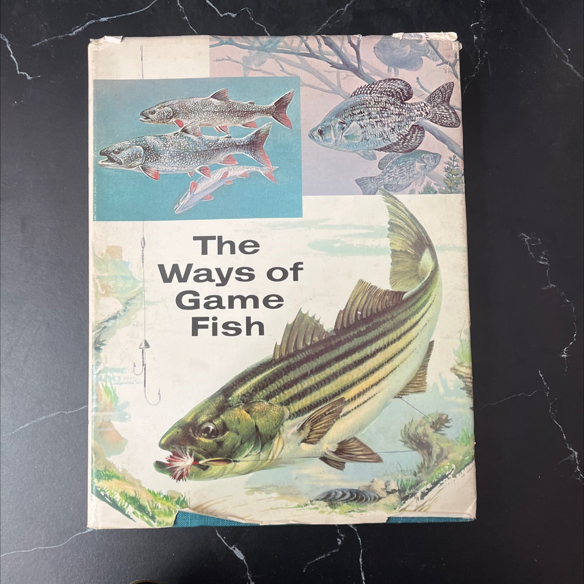 the ways of game fish book, by Russ Williams, Charles L. Cadieux, 1972 Hardcover, Vintage image 1