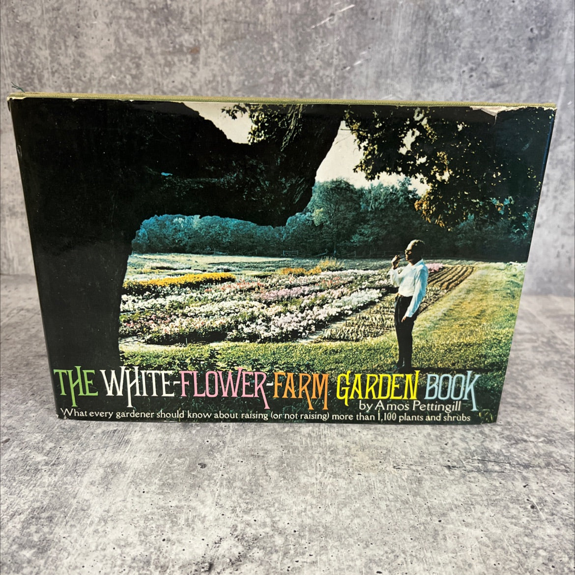 SIGNED the white-flower-farm garden book book, by Amos Pettingill, 1971 Hardcover image 1