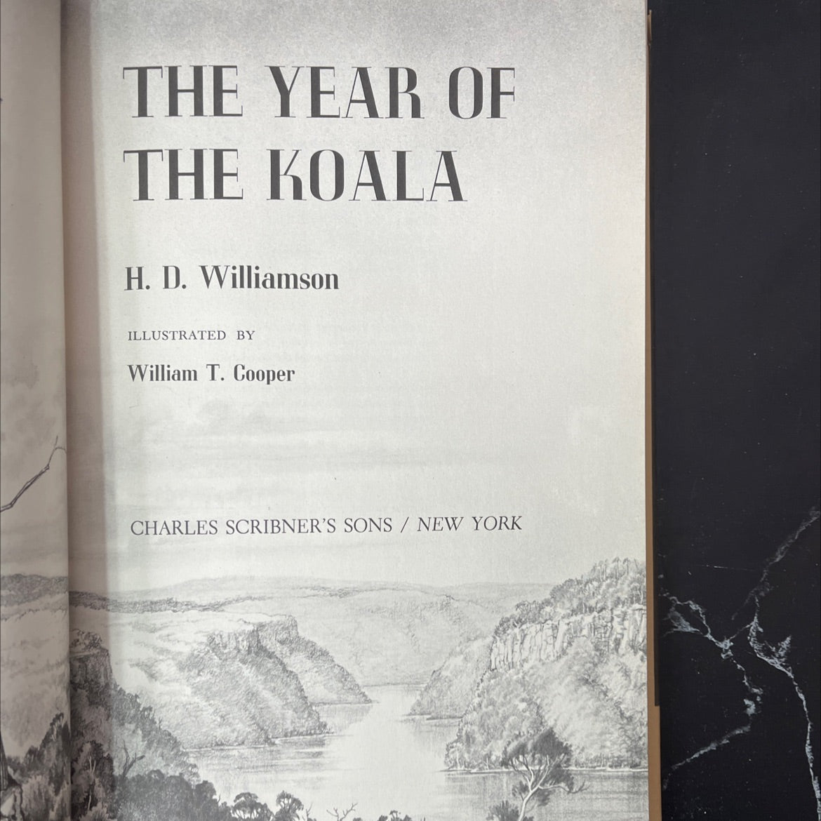 the year of the koala book, by H. D. Williamson, 1975 Hardcover, Vintage image 2