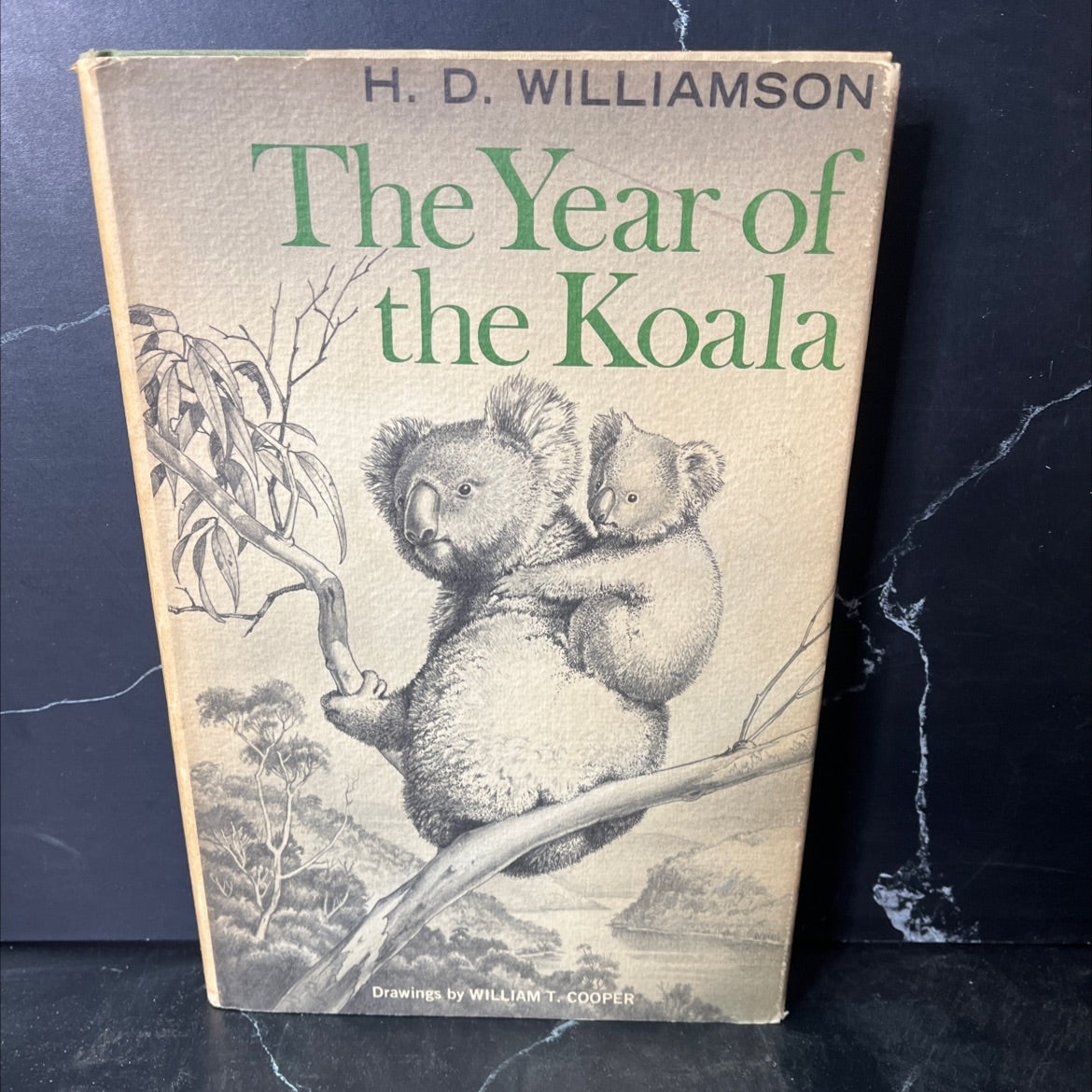 the year of the koala book, by H. D. Williamson, 1975 Hardcover, Vintage image 1