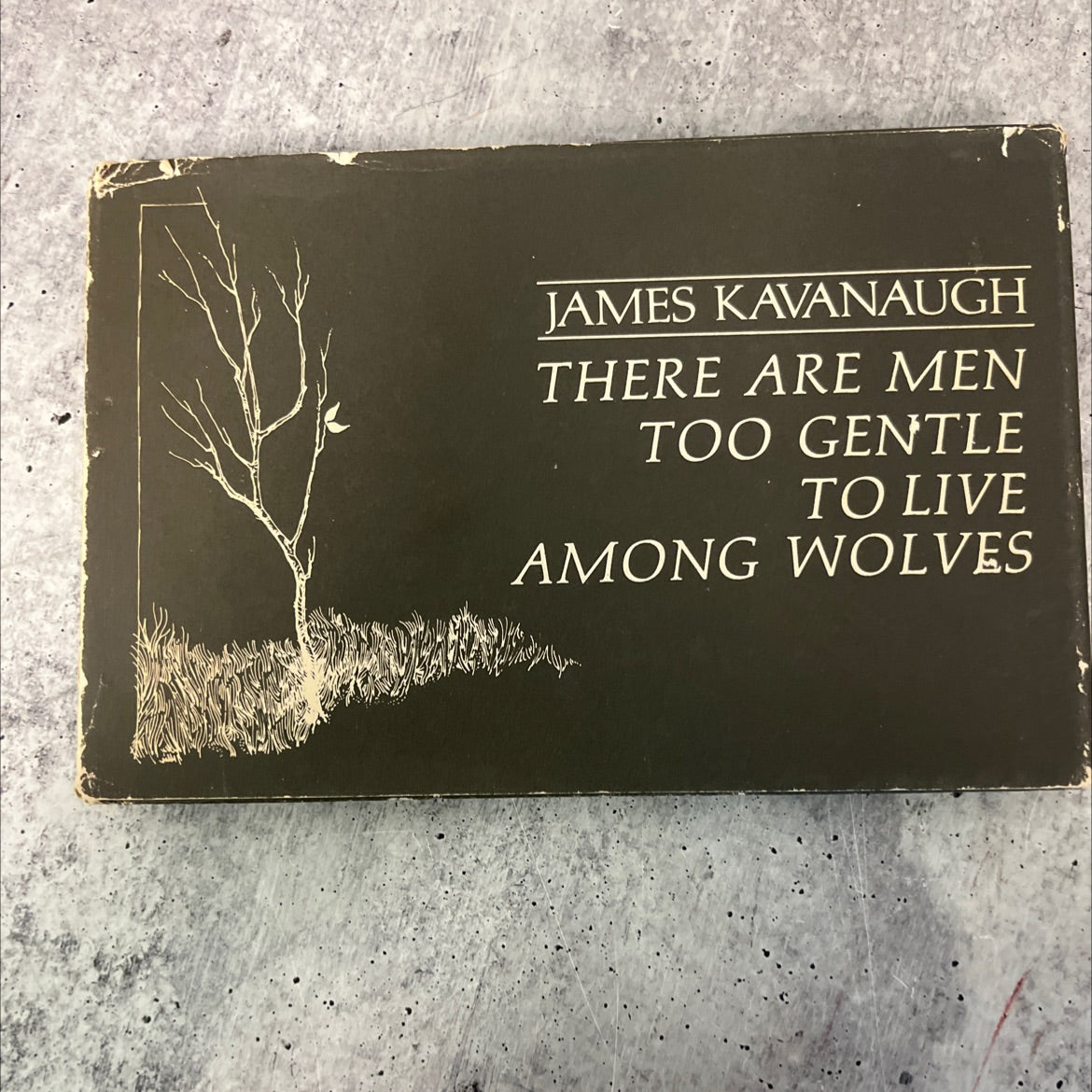 there are men too gentle to live among wolves book, by james kavanaugh, 1970 Hardcover, Vintage image 1