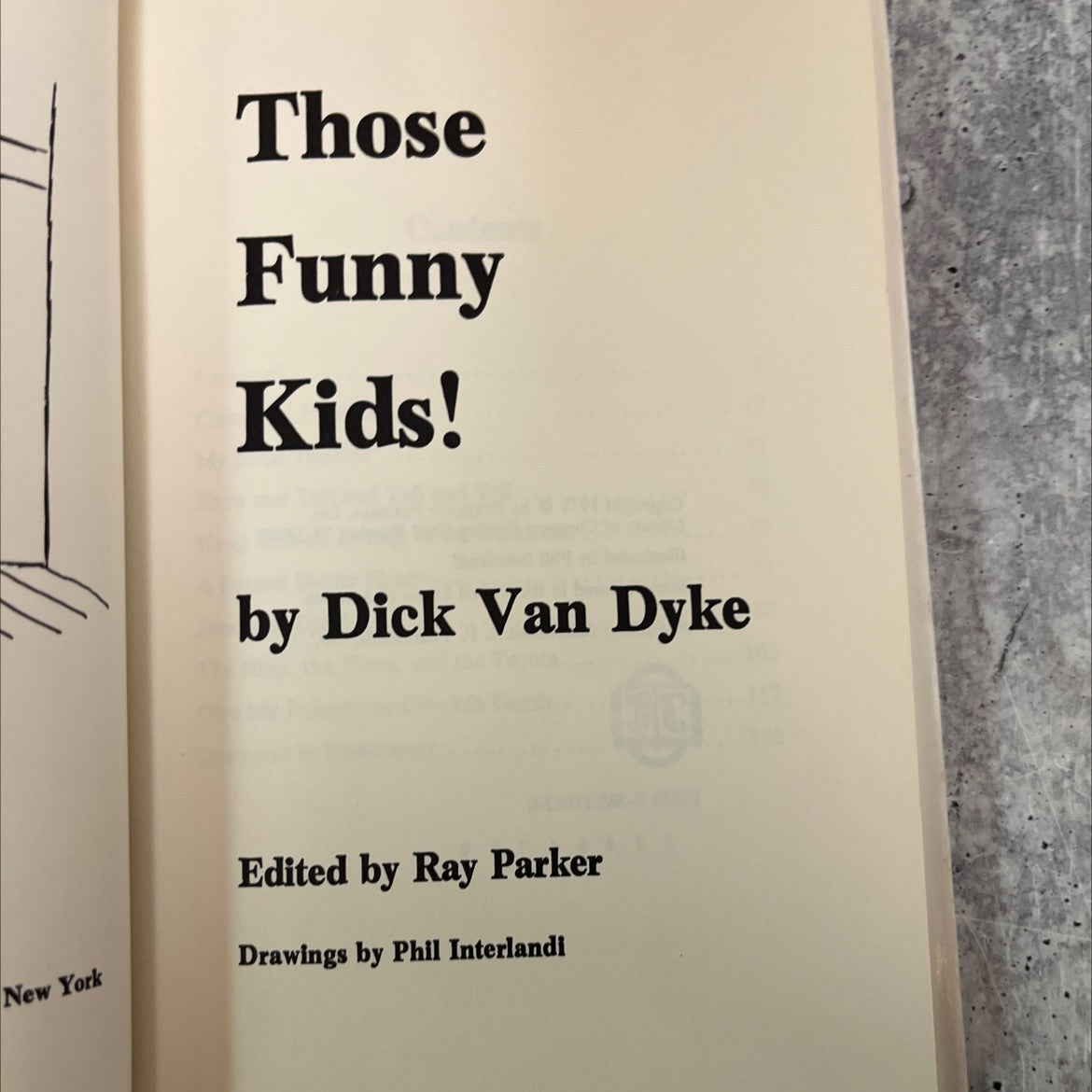 those funny kids! book, by dick van dyke, 1975 Hardcover, First Edition, Vintage image 2