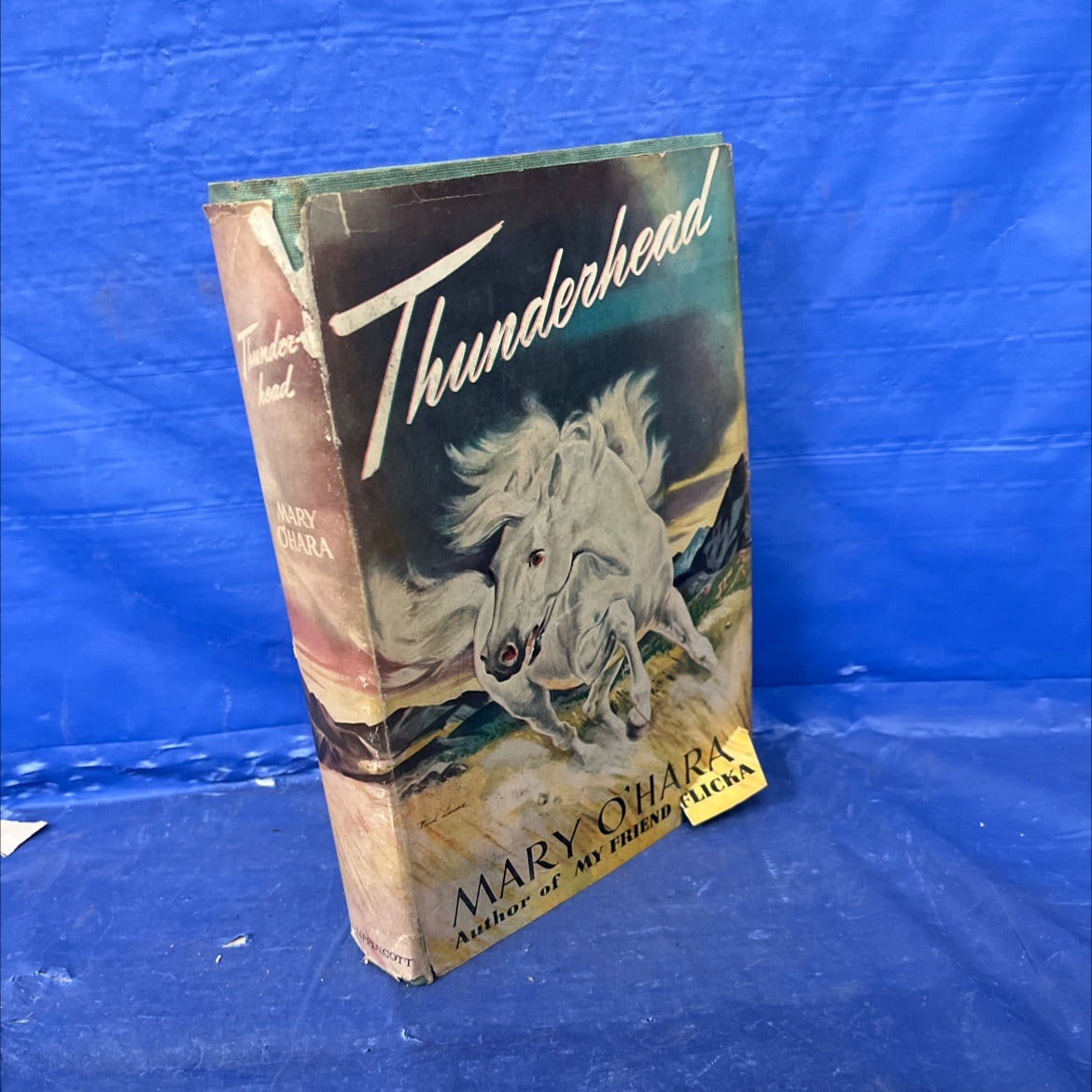 thunderhead book, by mary o'hara, 1943 Hardcover image 1