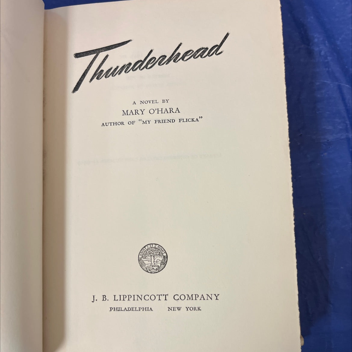 thunderhead book, by mary o'hara, 1943 Hardcover image 2