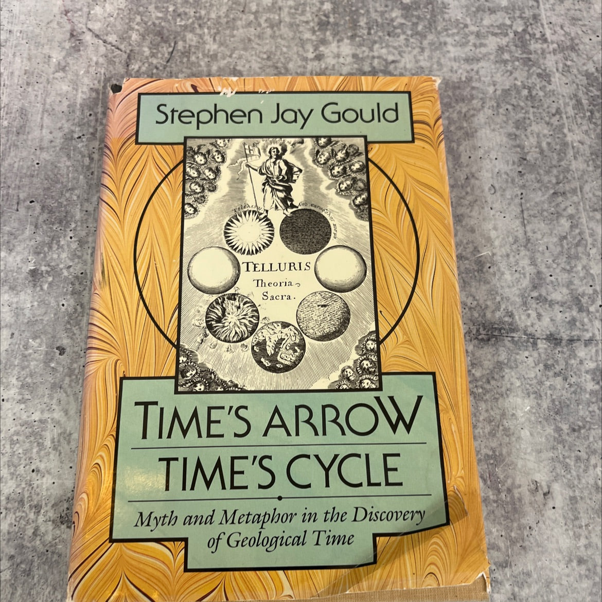 time's arrow time's cycle book, by stephen jay gould, 1987 Hardcover image 1