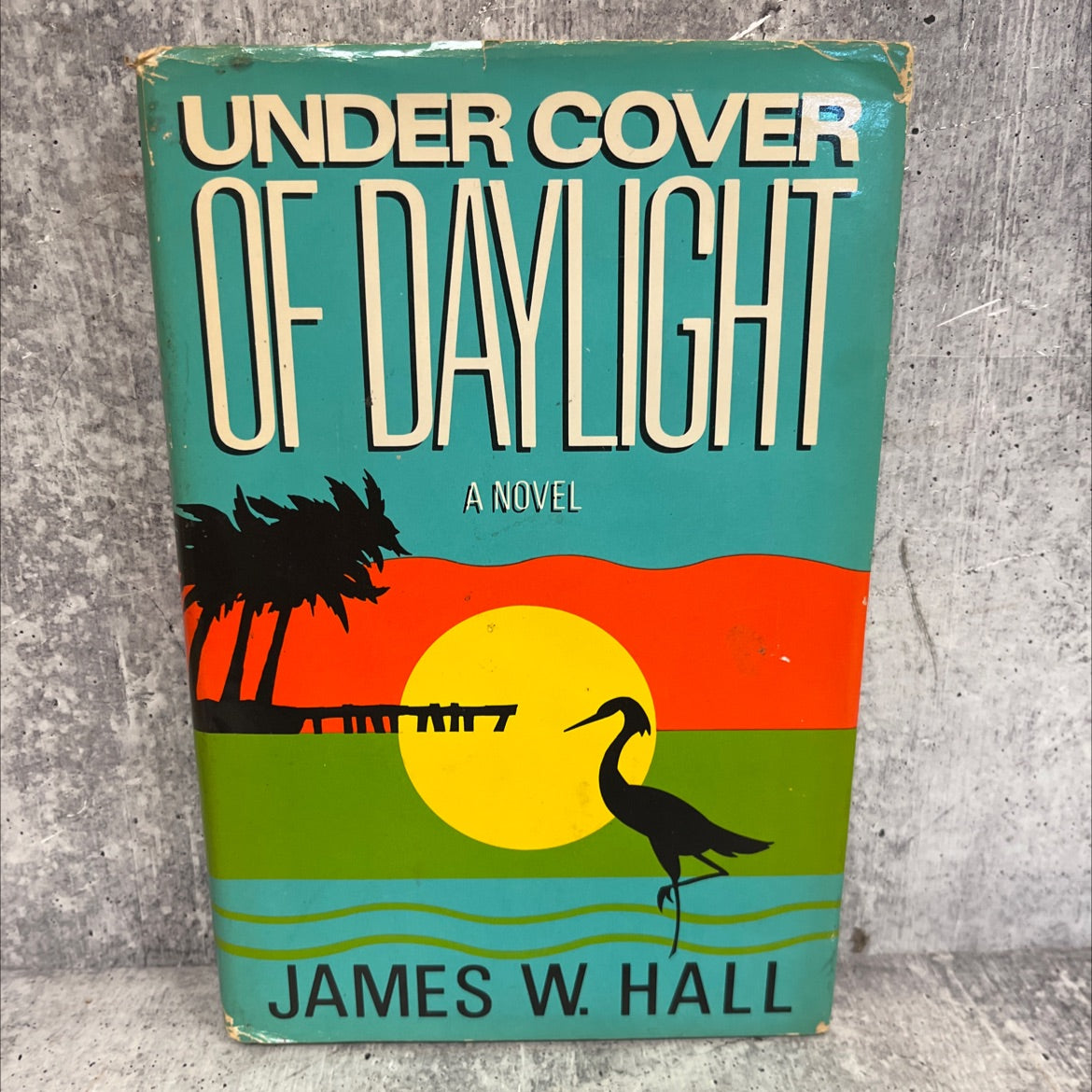 under cover of daylight book, by James W. Hall, 1987 Hardcover image 1