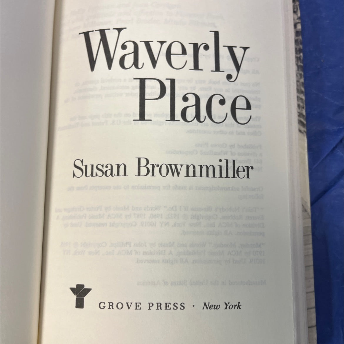 waverly place book, by Susan Brownmiller, 1989 Hardcover image 2