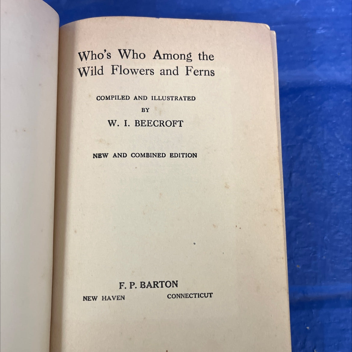 who's who among the wild flowers and ferns book, by w. i. beecroft, 1919 Hardcover image 1