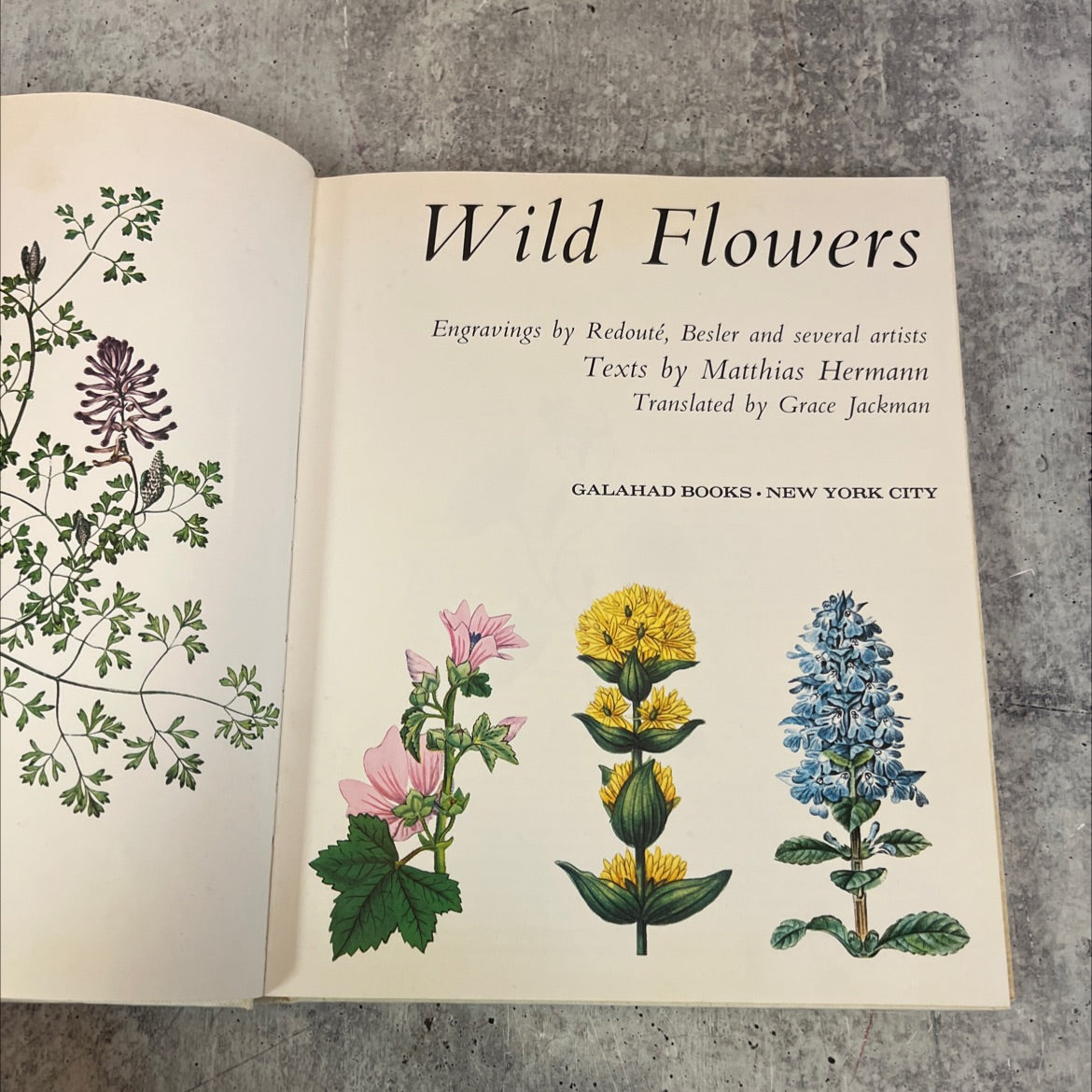 wild flowers engravings by redouté besler and several artists book, by Matthias Hermann, 1973 Hardcover image 2