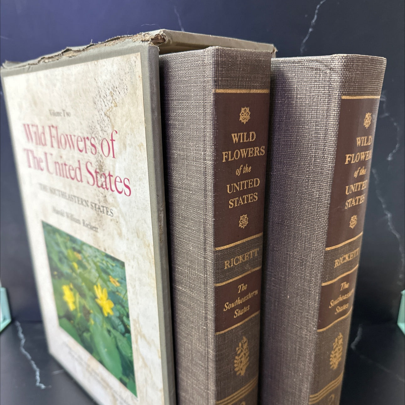 2 volume set - wild flowers of the united states, volume 2: the southeastern states book, by harold william rickett, image 1