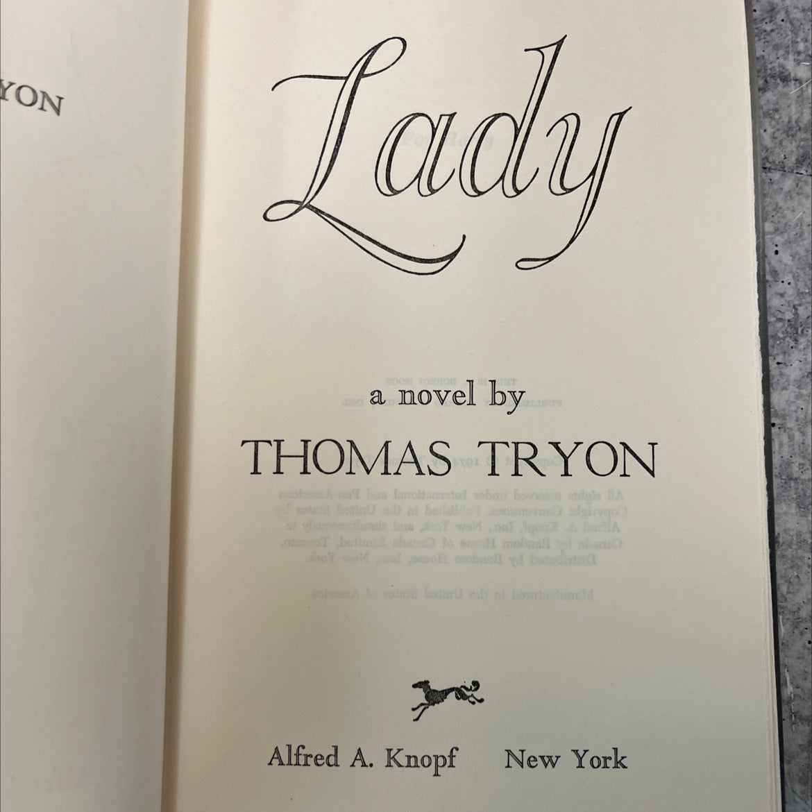 yon lady book, by thomas tryon, 1974 Hardcover image 2