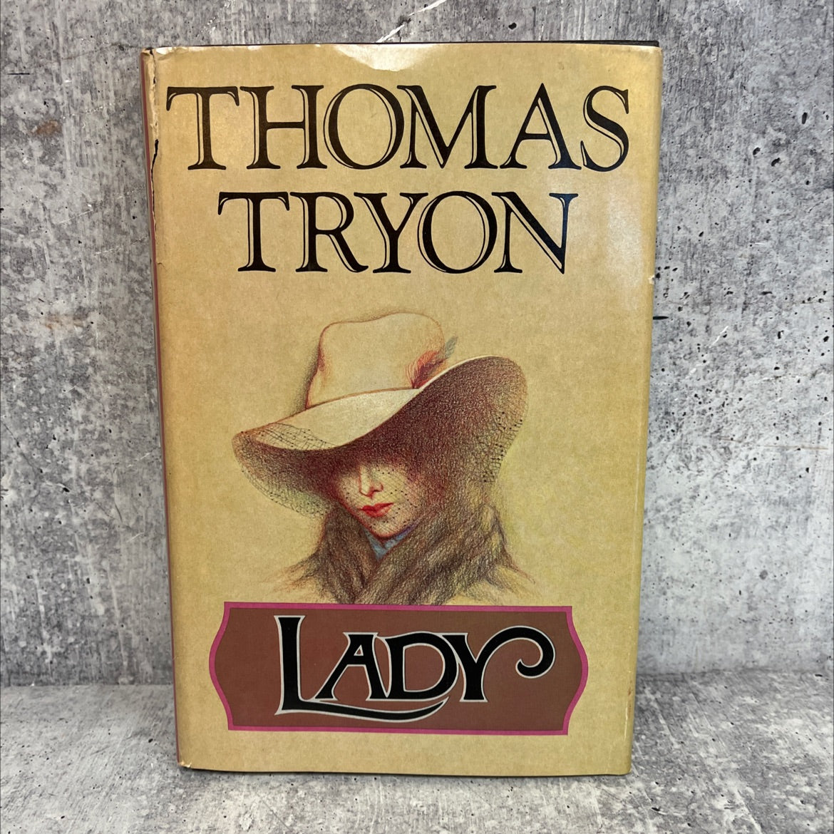 yon lady book, by thomas tryon, 1974 Hardcover image 1