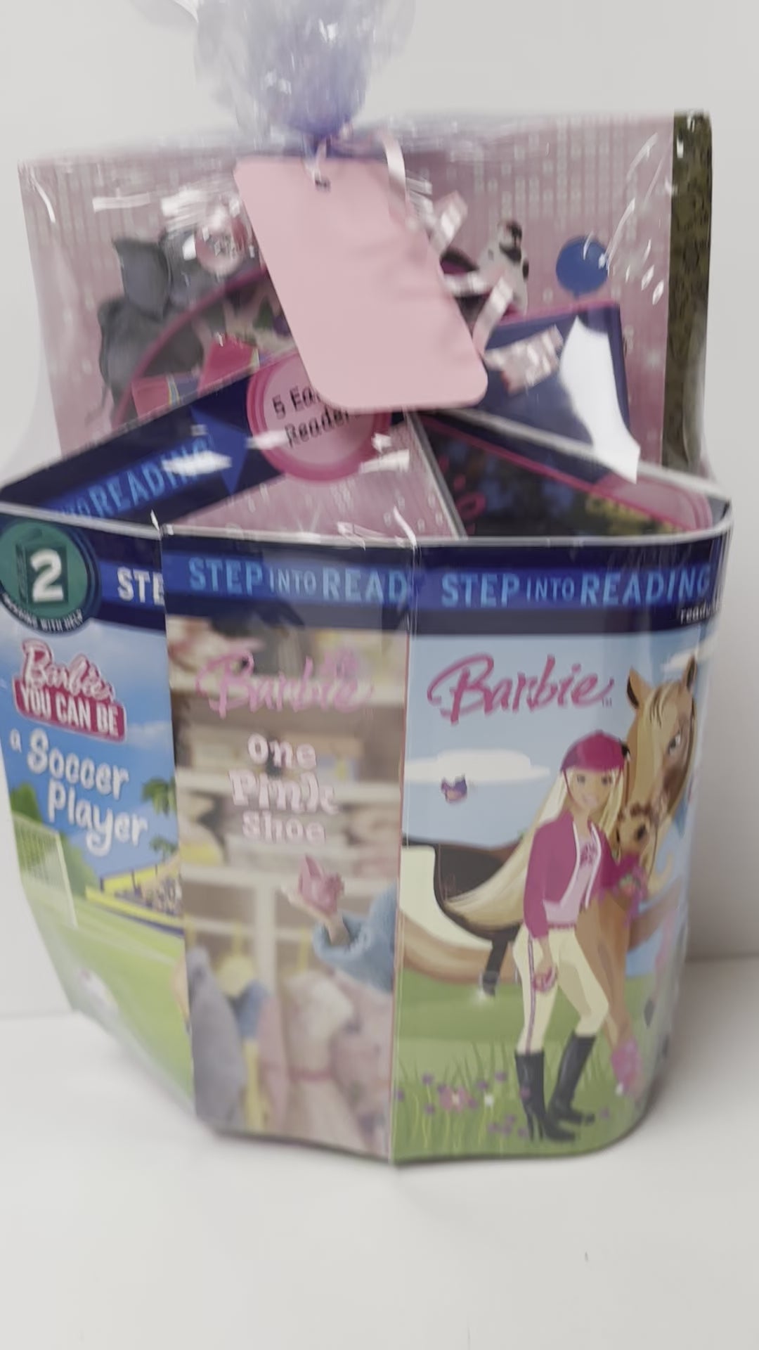 Barbie Theme (ages 5-10) Book Gift Basket, Barbie Basket